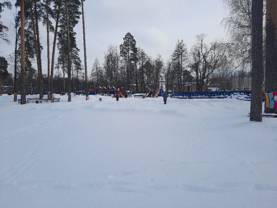 8 марта, парк, им, Гагарина, народное, гуляние, Шатура