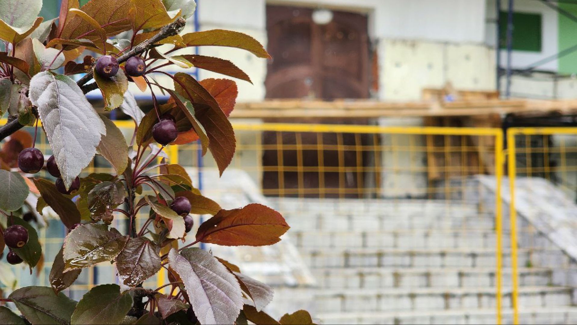 Дмитров, Дмитровский кремль, Минкульт