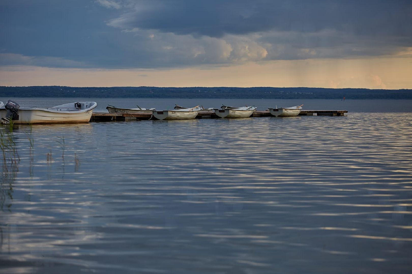 пушкино, фотография, творчество, многодетные матери, многодетные семьи, инвалиды,