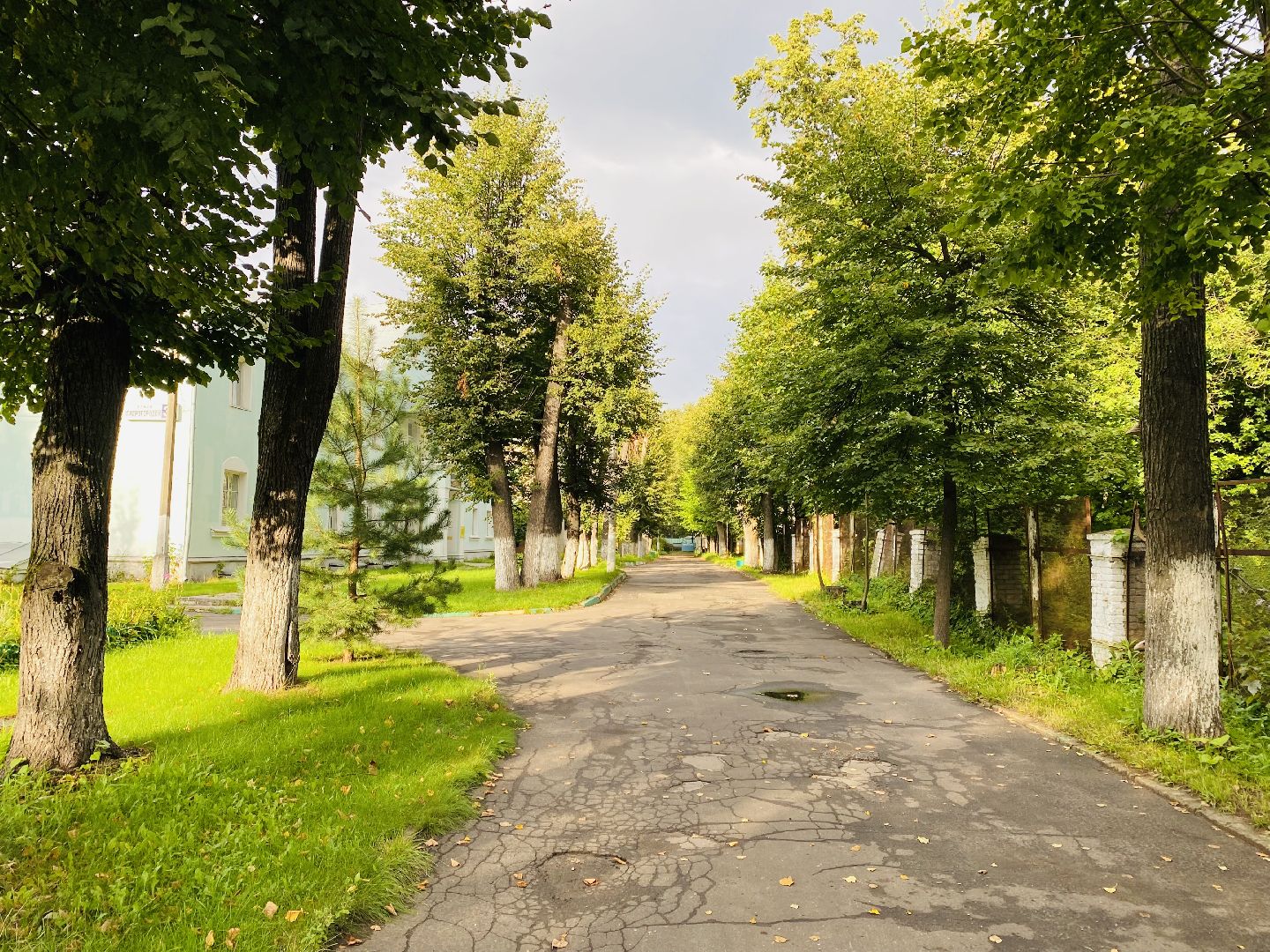 Балашиха, северное Кучино, усадьба Рябушинских, Дмитрий Рябушинский