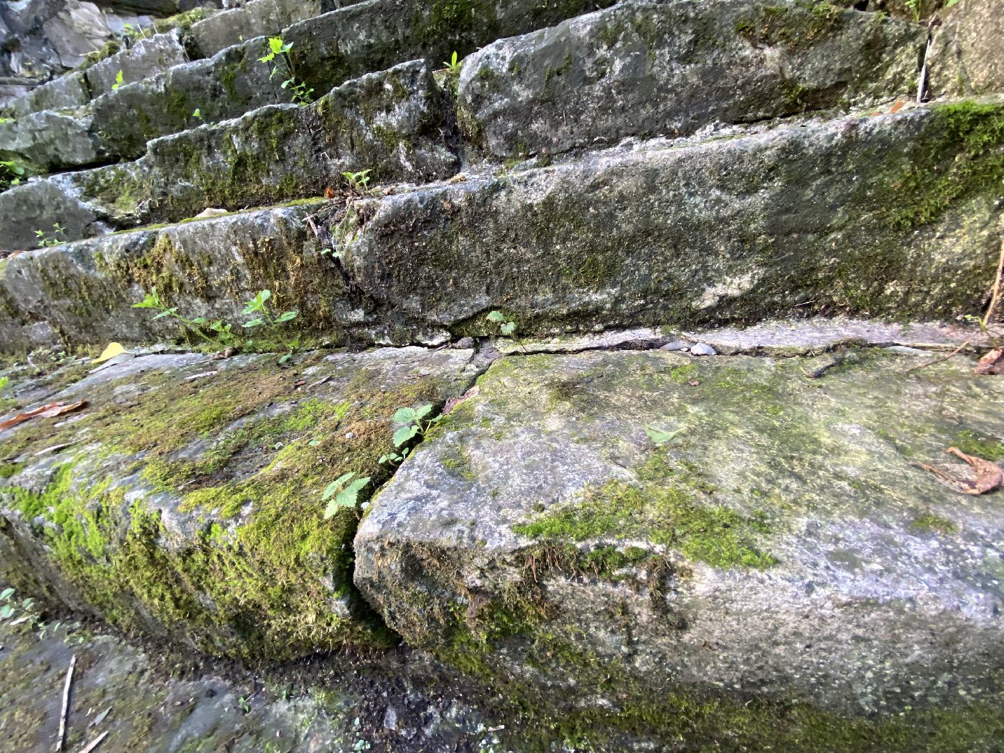 Балашиха, северное Кучино, усадьба Рябушинских, Дмитрий Рябушинский