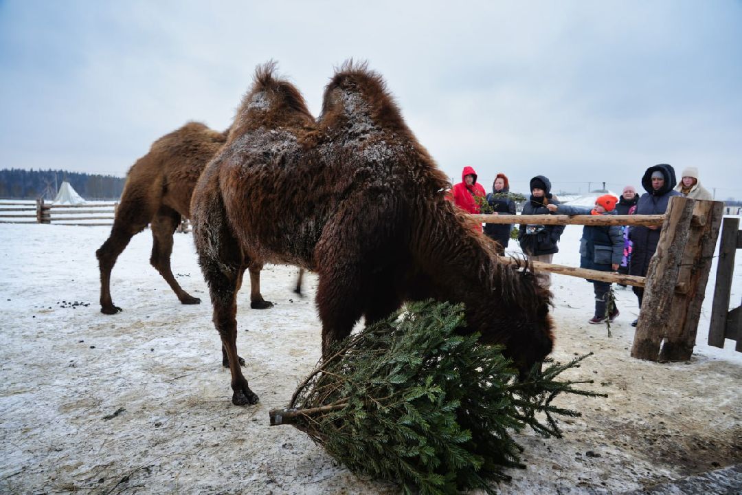 Сергиев Посад