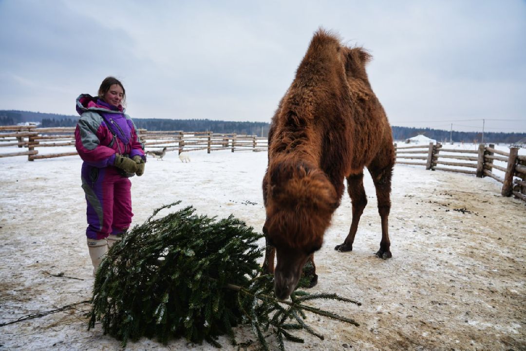Сергиев Посад