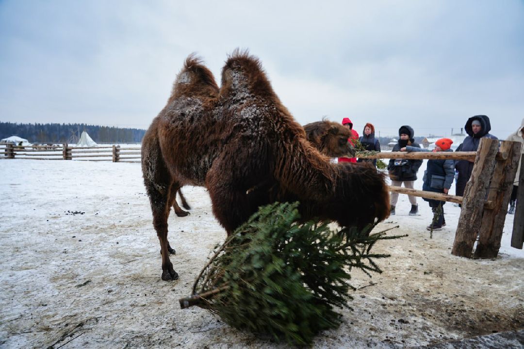 Сергиев Посад