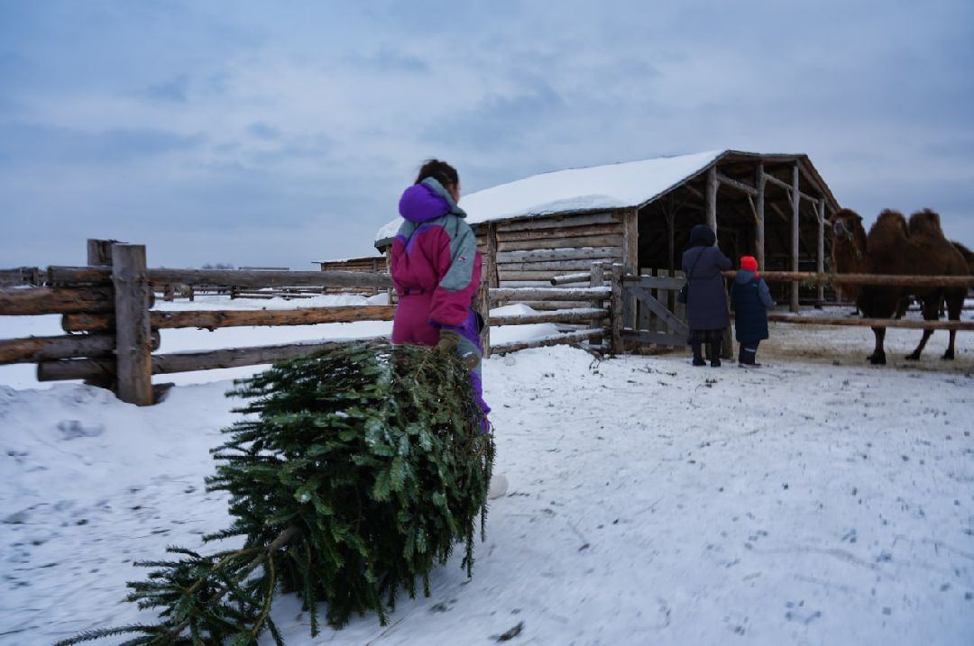 Сергиев Посад