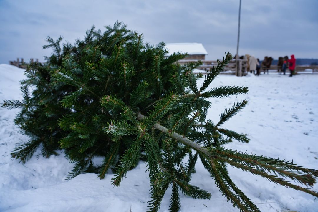 Сергиев Посад