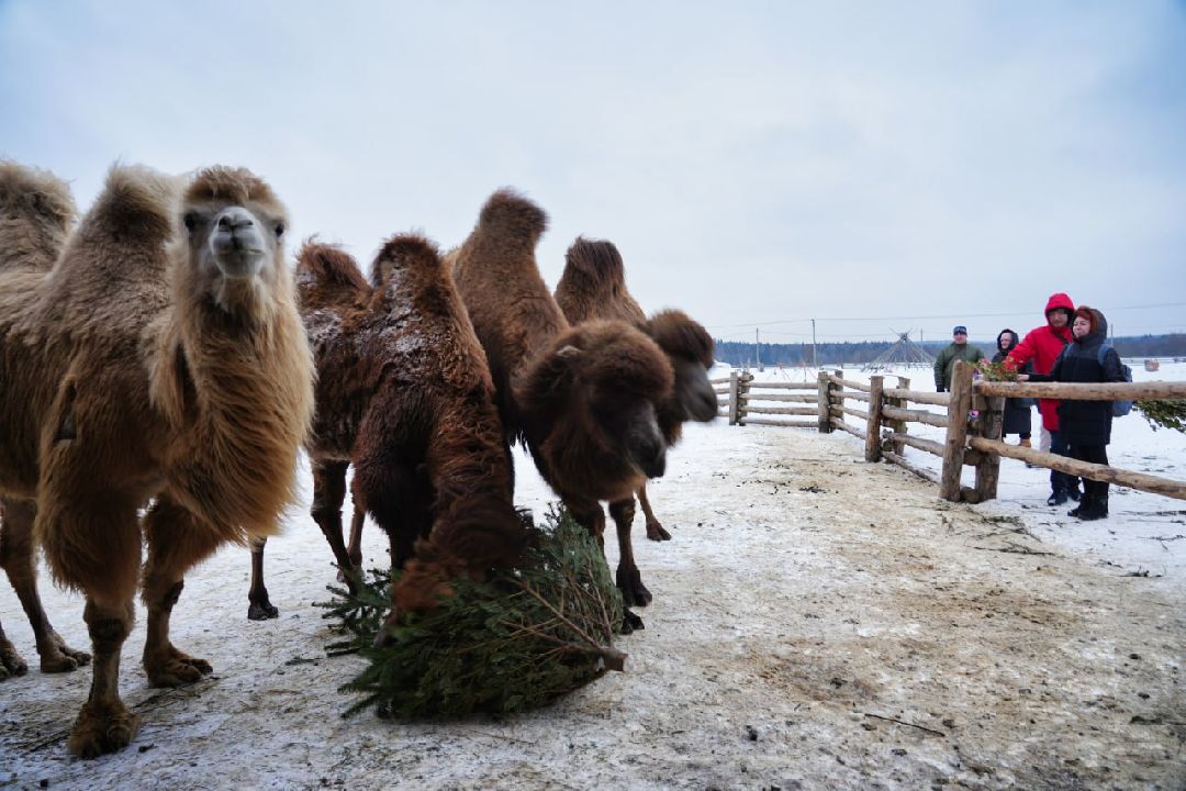 Сергиев Посад