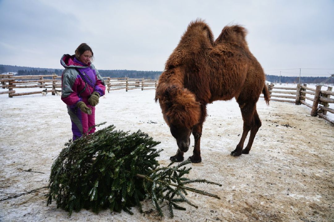 Сергиев Посад
