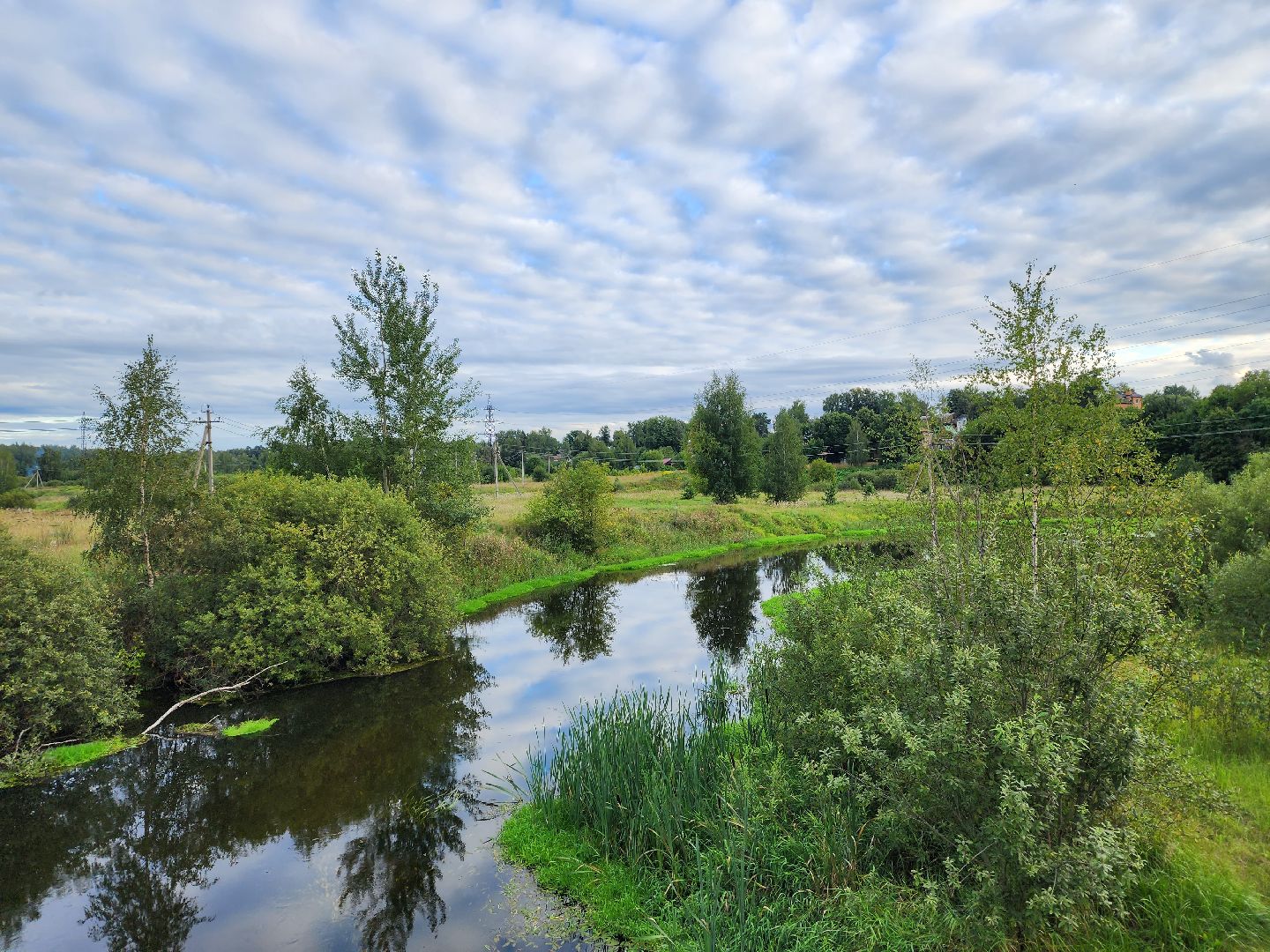 река, городской округ пушкинский, водоём, вода, лето в подмосковье,