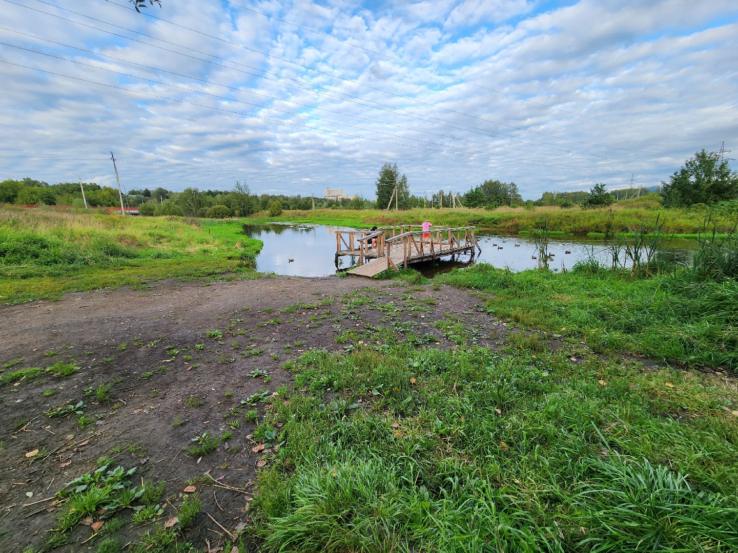 река, городской округ пушкинский, водоём, вода, лето в подмосковье,