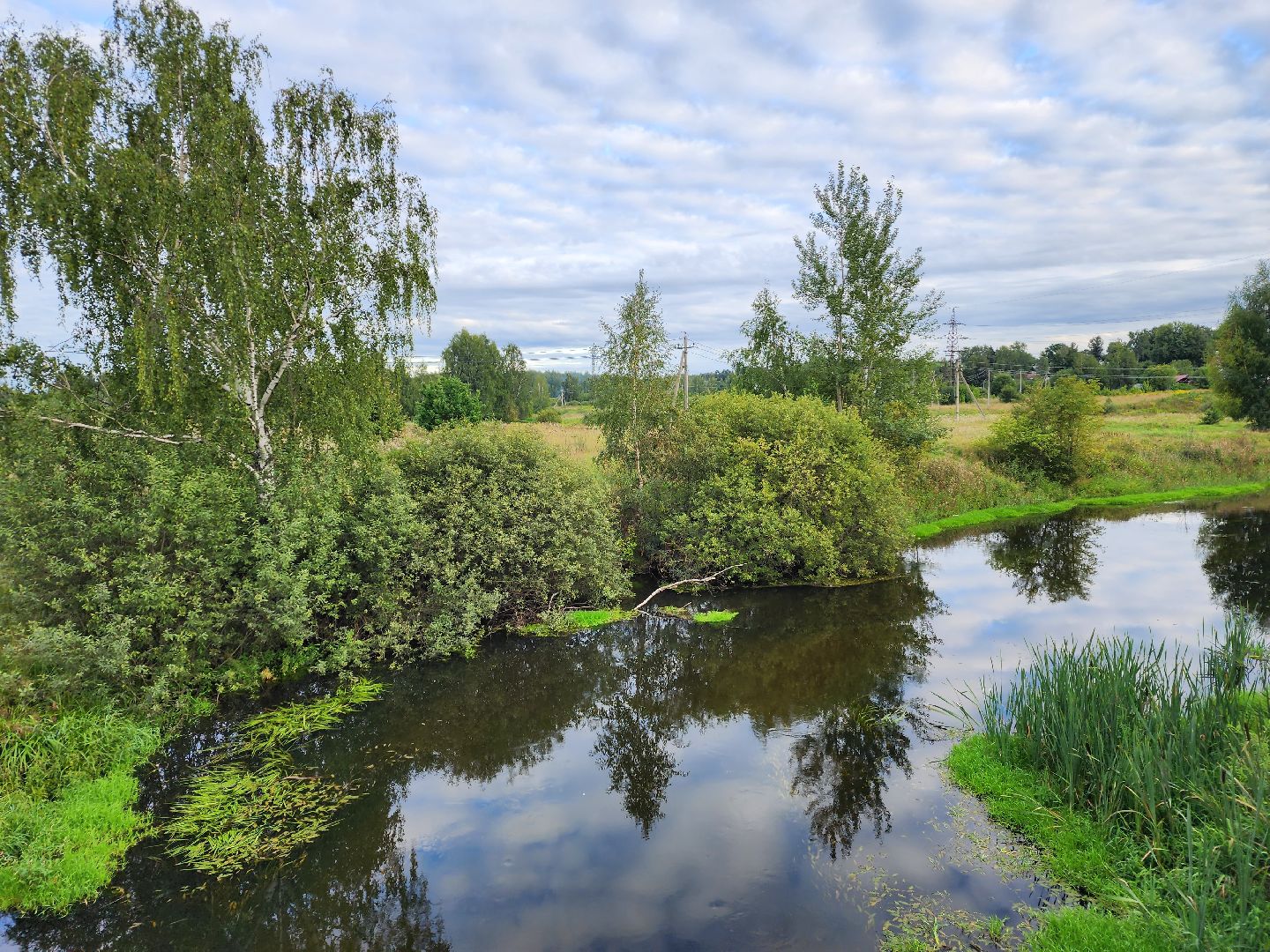 река, городской округ пушкинский, водоём, вода, лето в подмосковье,