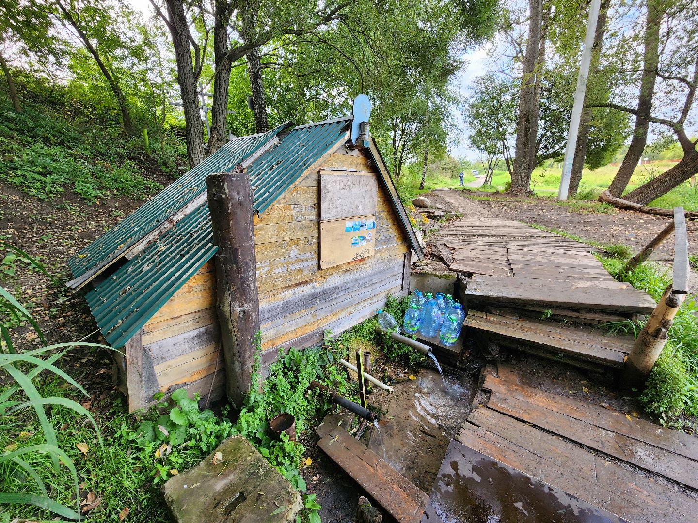 река, городской округ пушкинский, водоём, вода, лето в подмосковье,