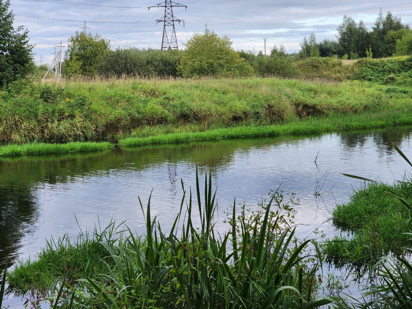 река, городской округ пушкинский, водоём, вода, лето в подмосковье,