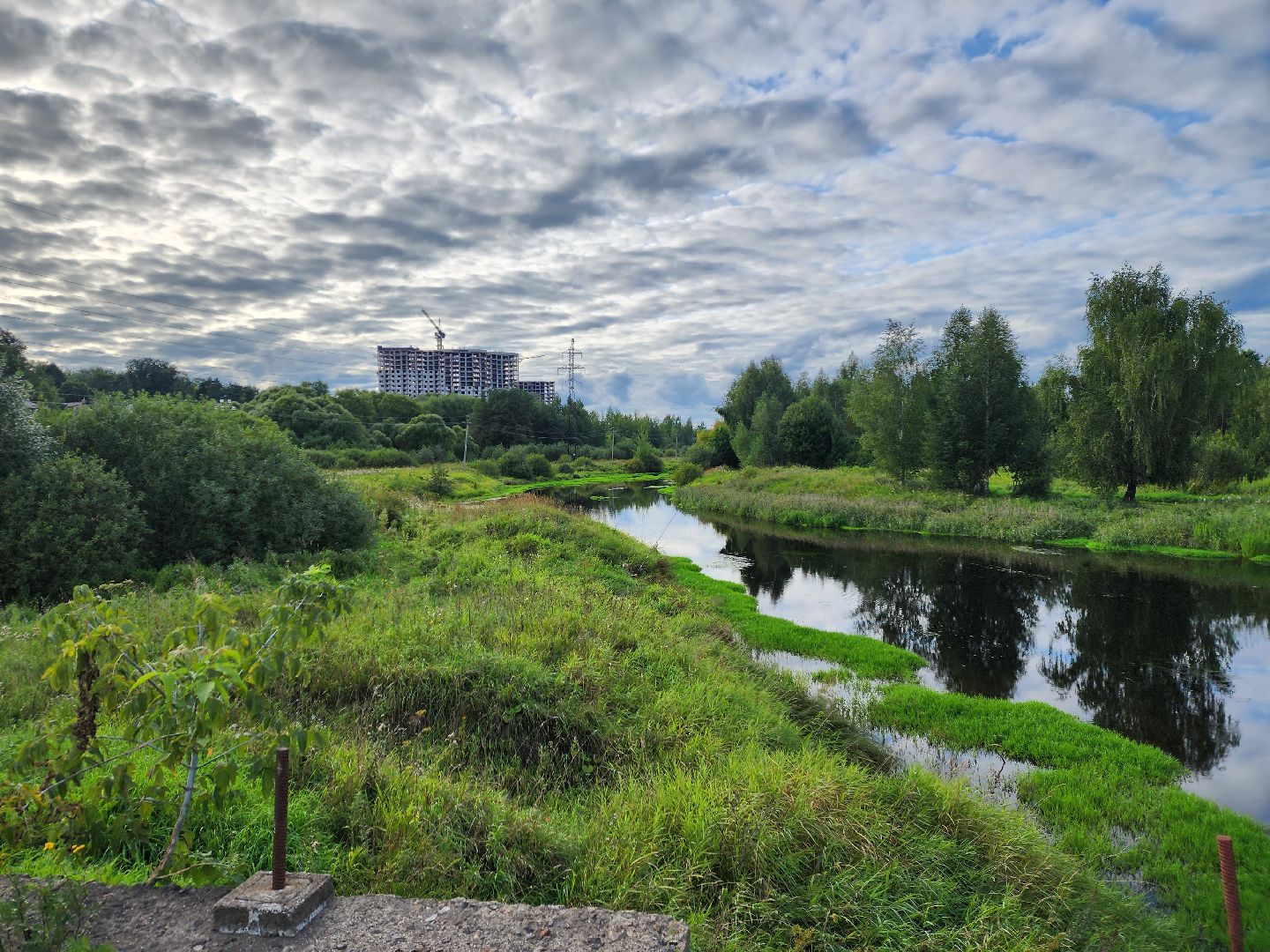 река, городской округ пушкинский, водоём, вода, лето в подмосковье,