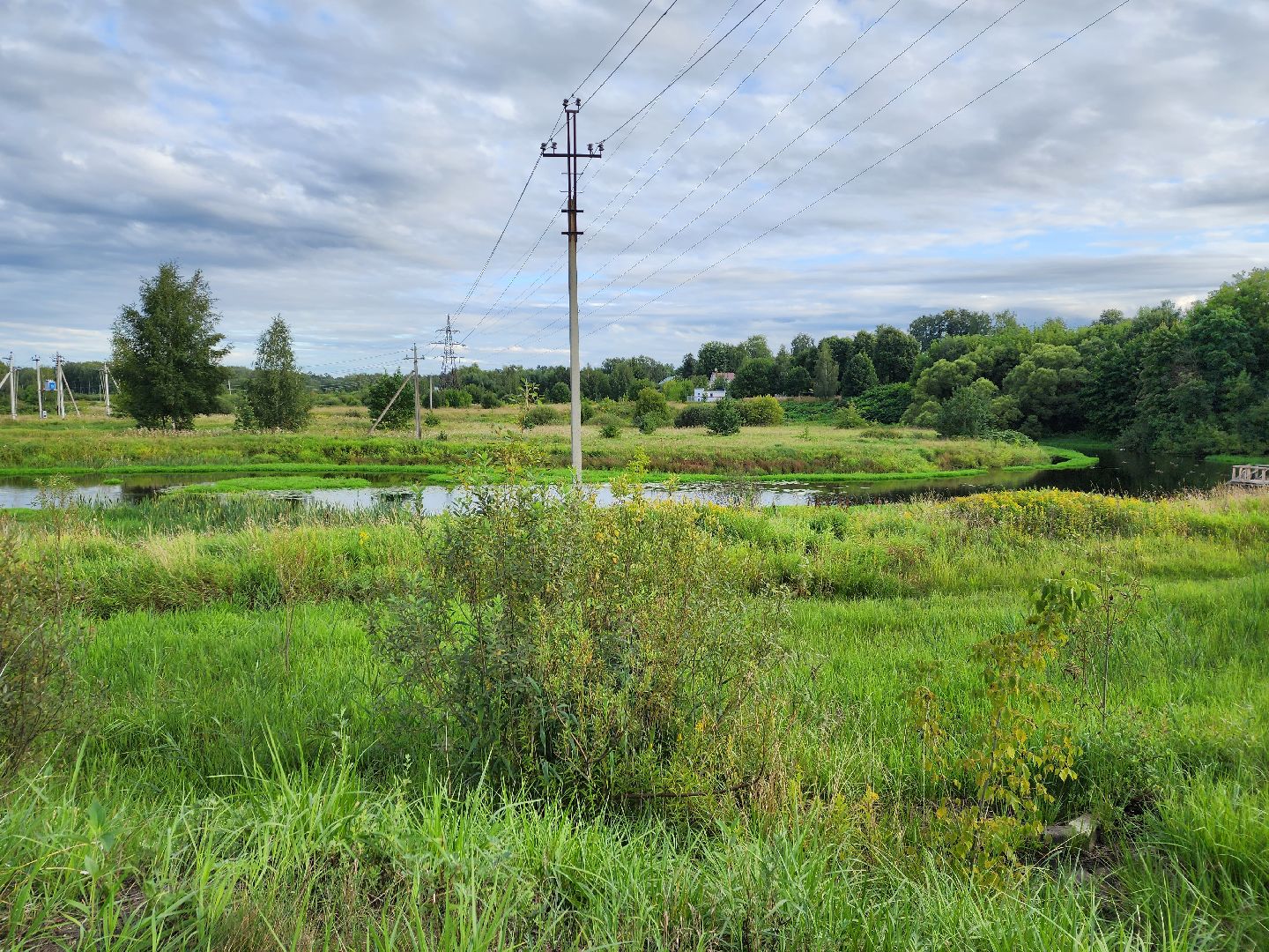 река, городской округ пушкинский, водоём, вода, лето в подмосковье,