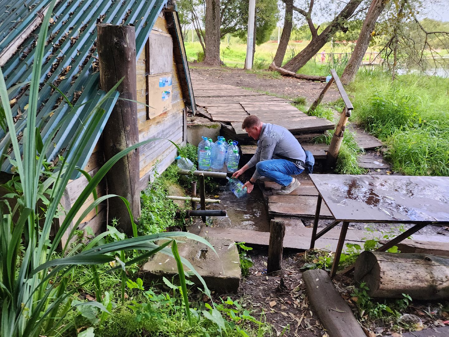 река, городской округ пушкинский, водоём, вода, лето в подмосковье,