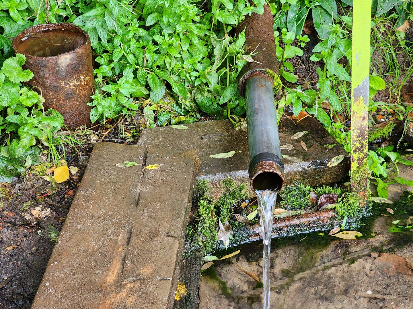 река, городской округ пушкинский, водоём, вода, лето в подмосковье,