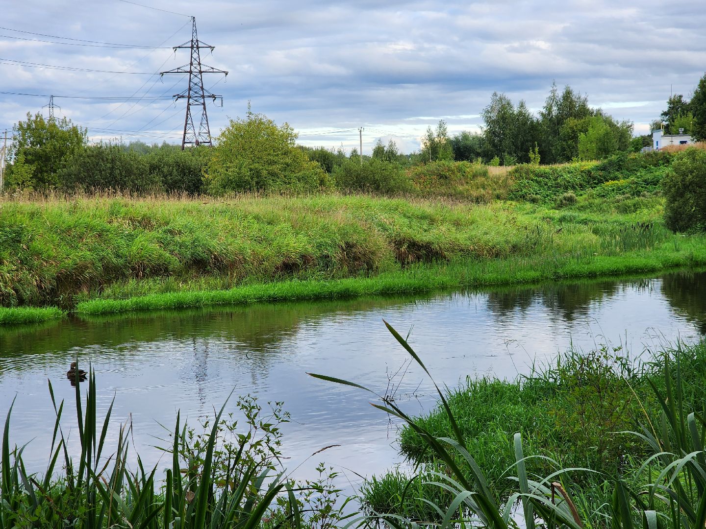 река, городской округ пушкинский, водоём, вода, лето в подмосковье,