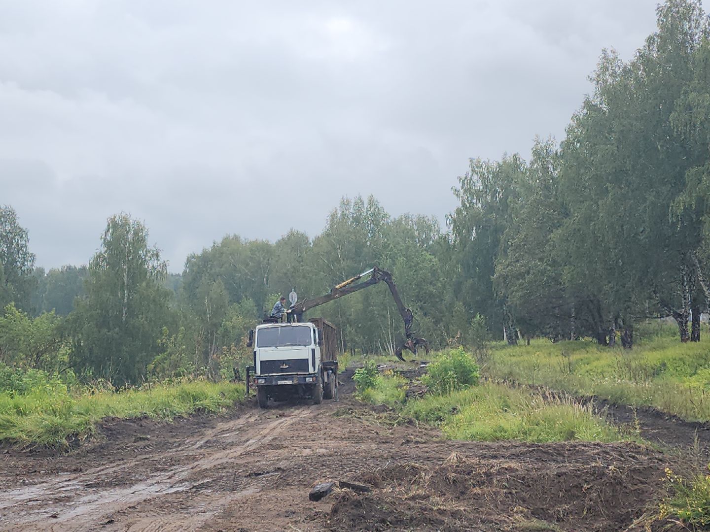 Кашира, железная дорога, демонтаж, ГРЭС, КЗМК