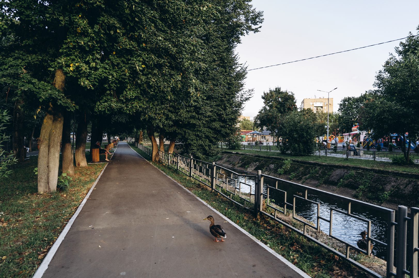 благоустройство, сквер, Щёлково