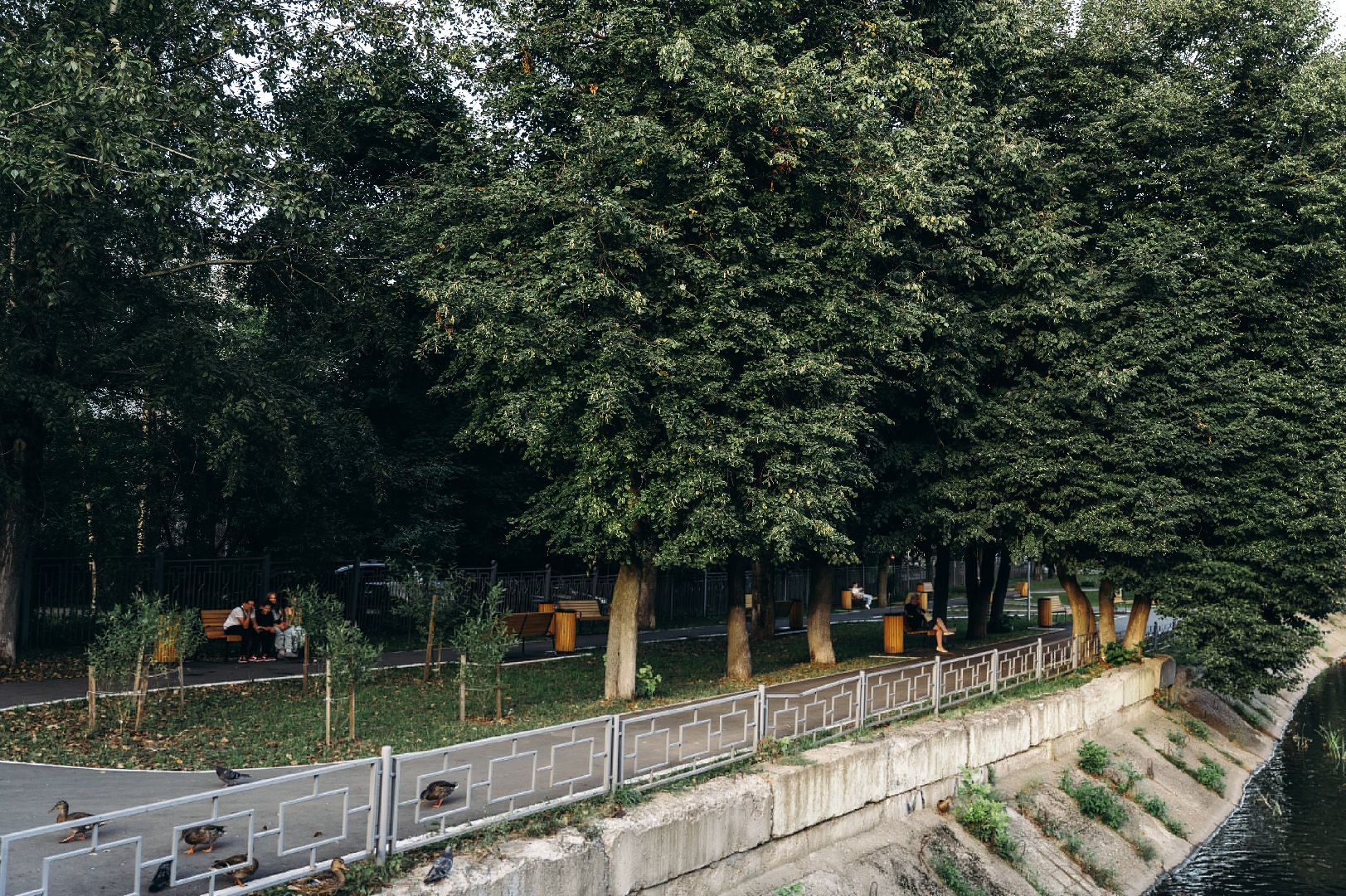 благоустройство, сквер, Щёлково