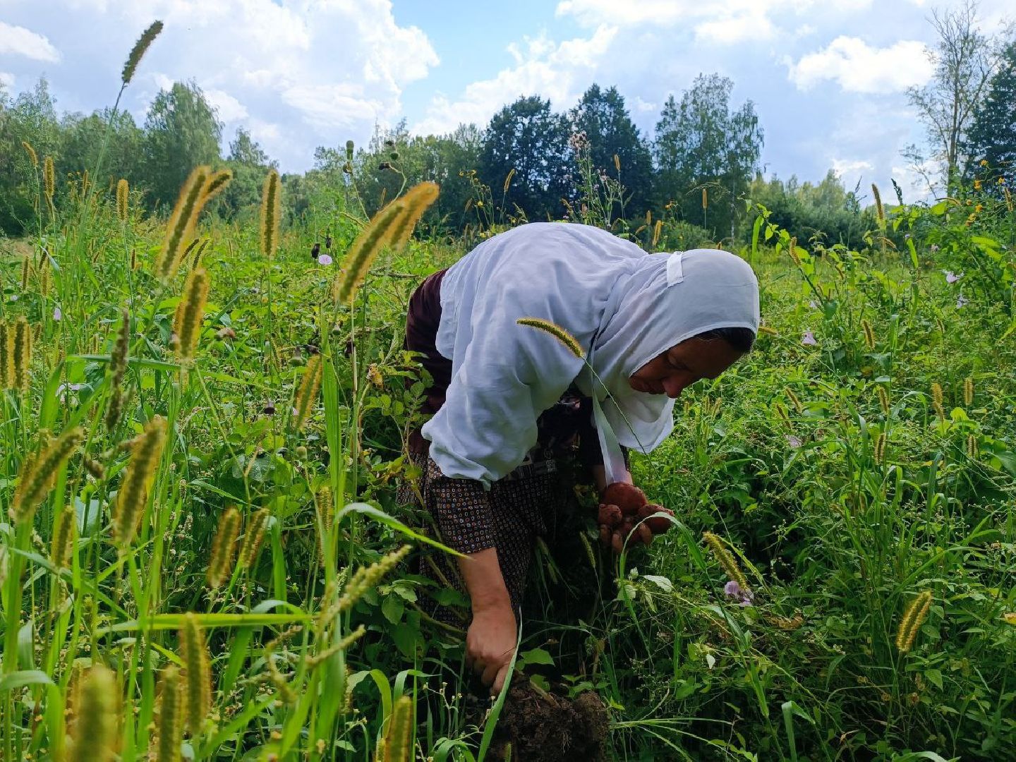 Можайск, Можайский городской округ, Подмосковье, урожай, монастырь, огород, овощи, фрукты, заготовки на зиму, традиции