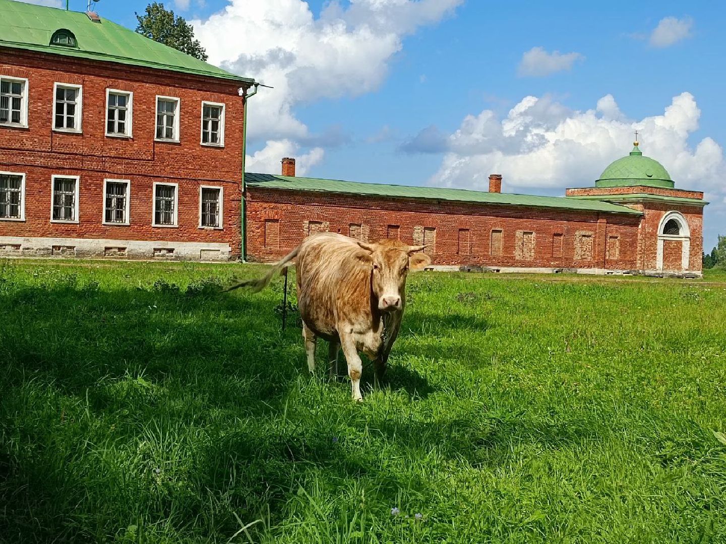Можайск, Можайский городской округ, Подмосковье, урожай, монастырь, огород, овощи, фрукты, заготовки на зиму, традиции