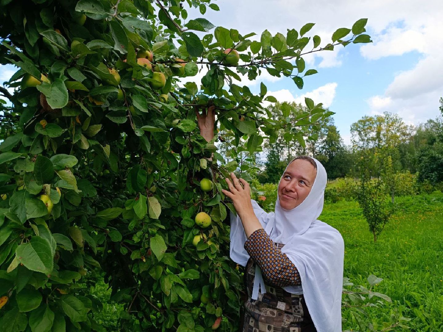 Можайск, Можайский городской округ, Подмосковье, урожай, монастырь, огород, овощи, фрукты, заготовки на зиму, традиции
