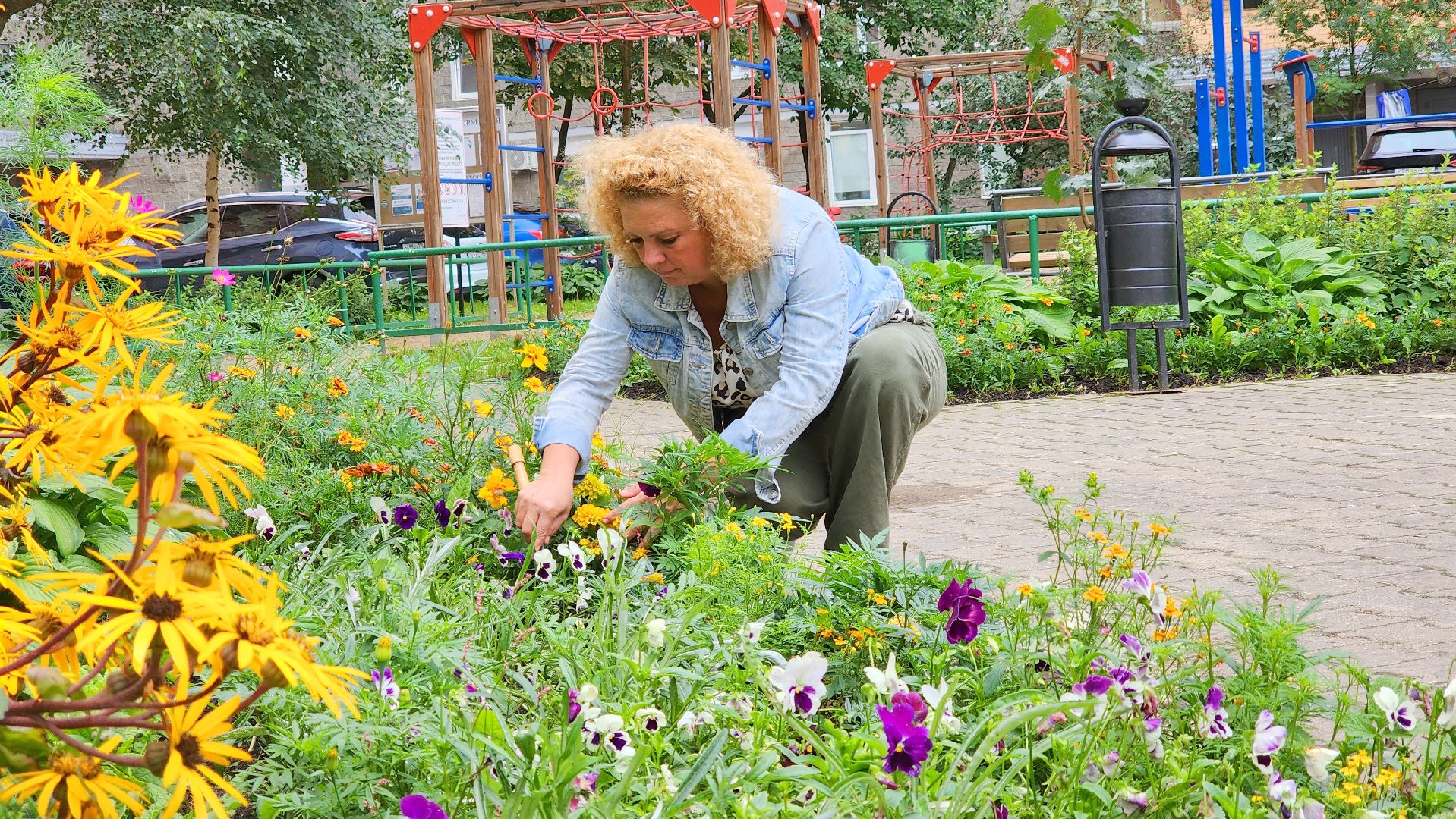 озеленение, озеленение двора, благоустройство, дворы,