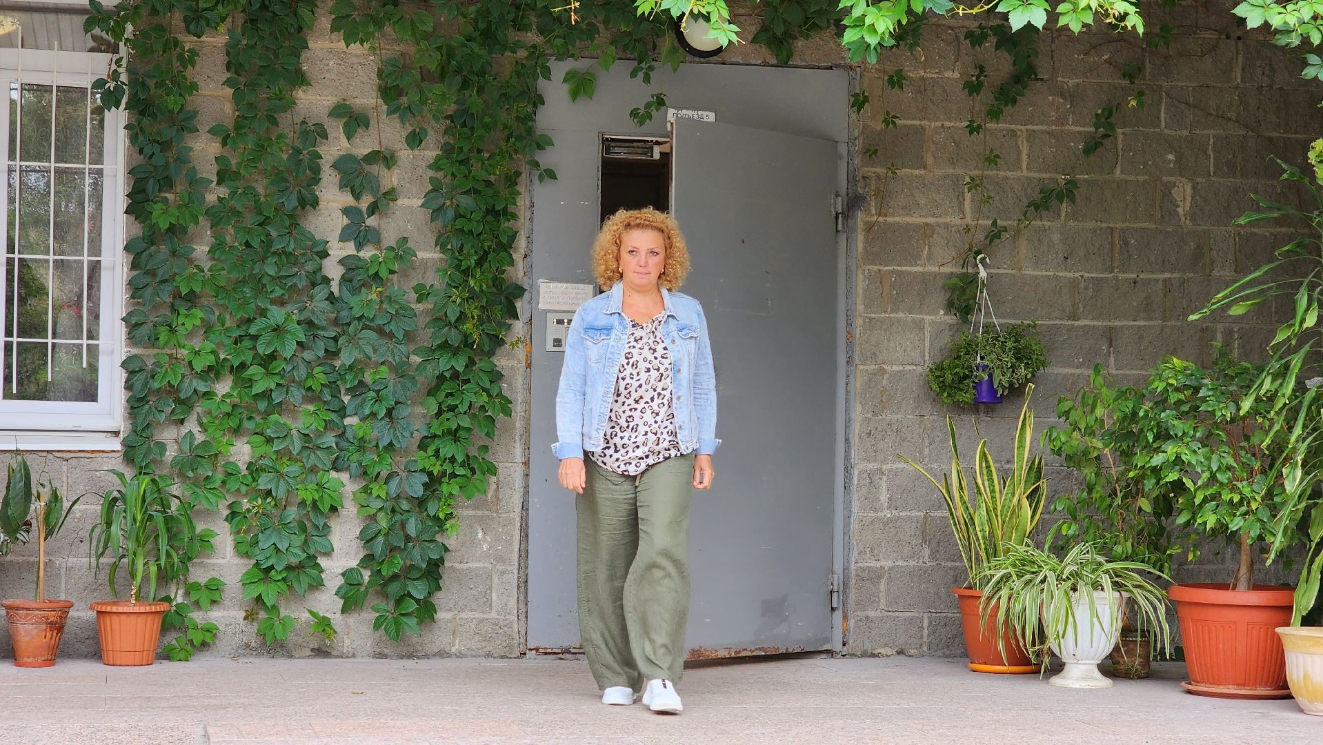 озеленение, озеленение двора, благоустройство, дворы,