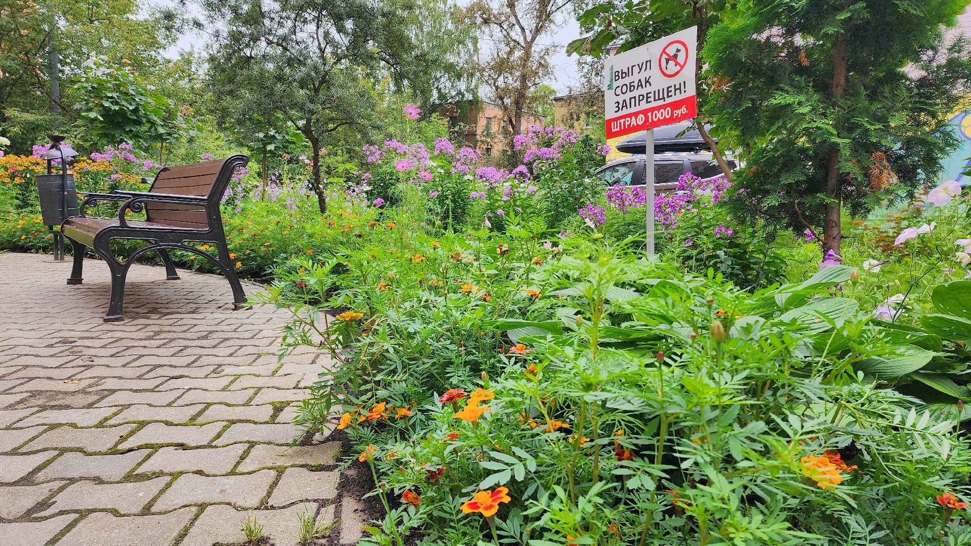 озеленение, озеленение двора, благоустройство, дворы,