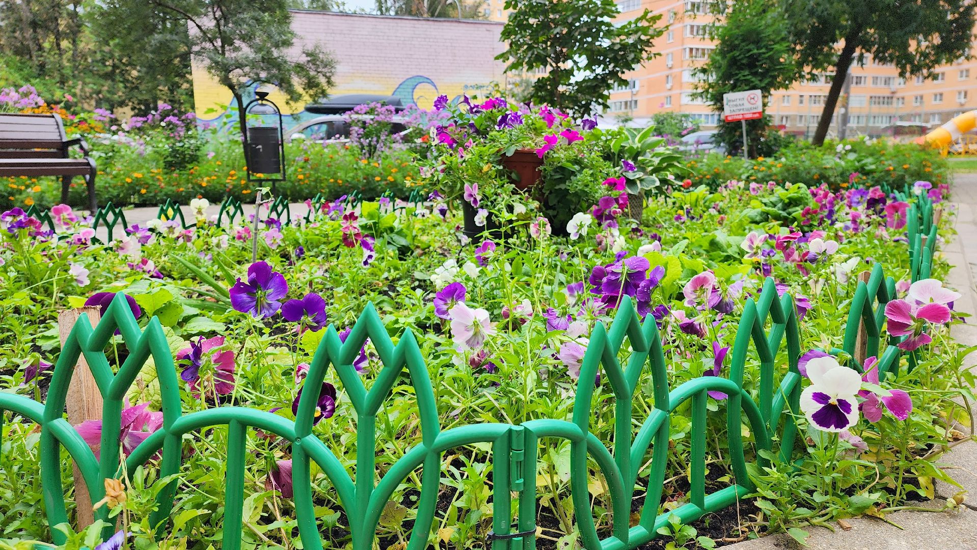 озеленение, озеленение двора, благоустройство, дворы,