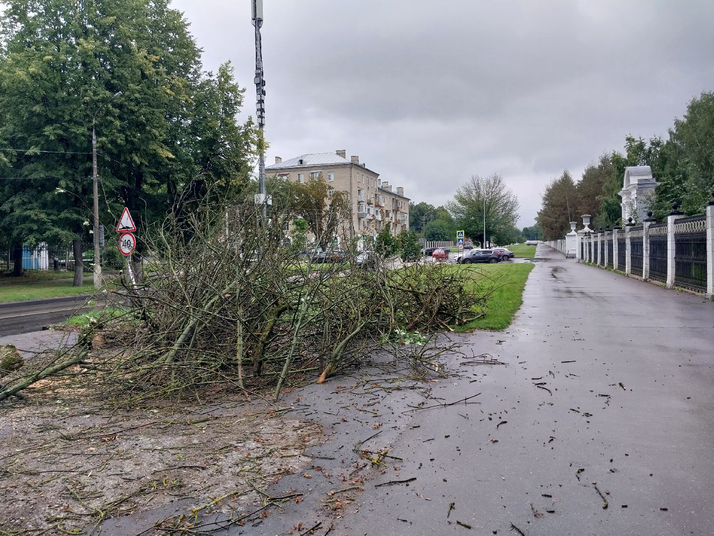 Коломна, деревья, благоустройство