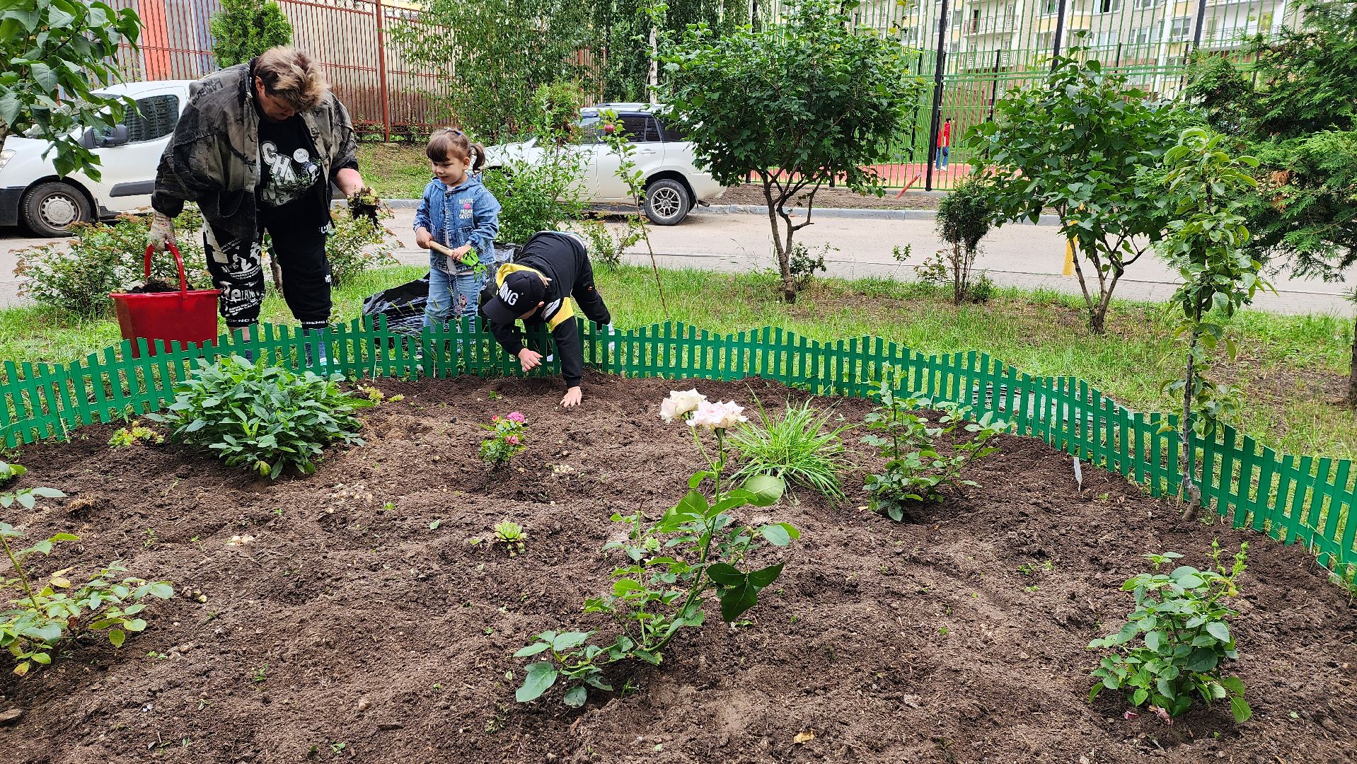 благоустройство, цветник, жители, Котельники