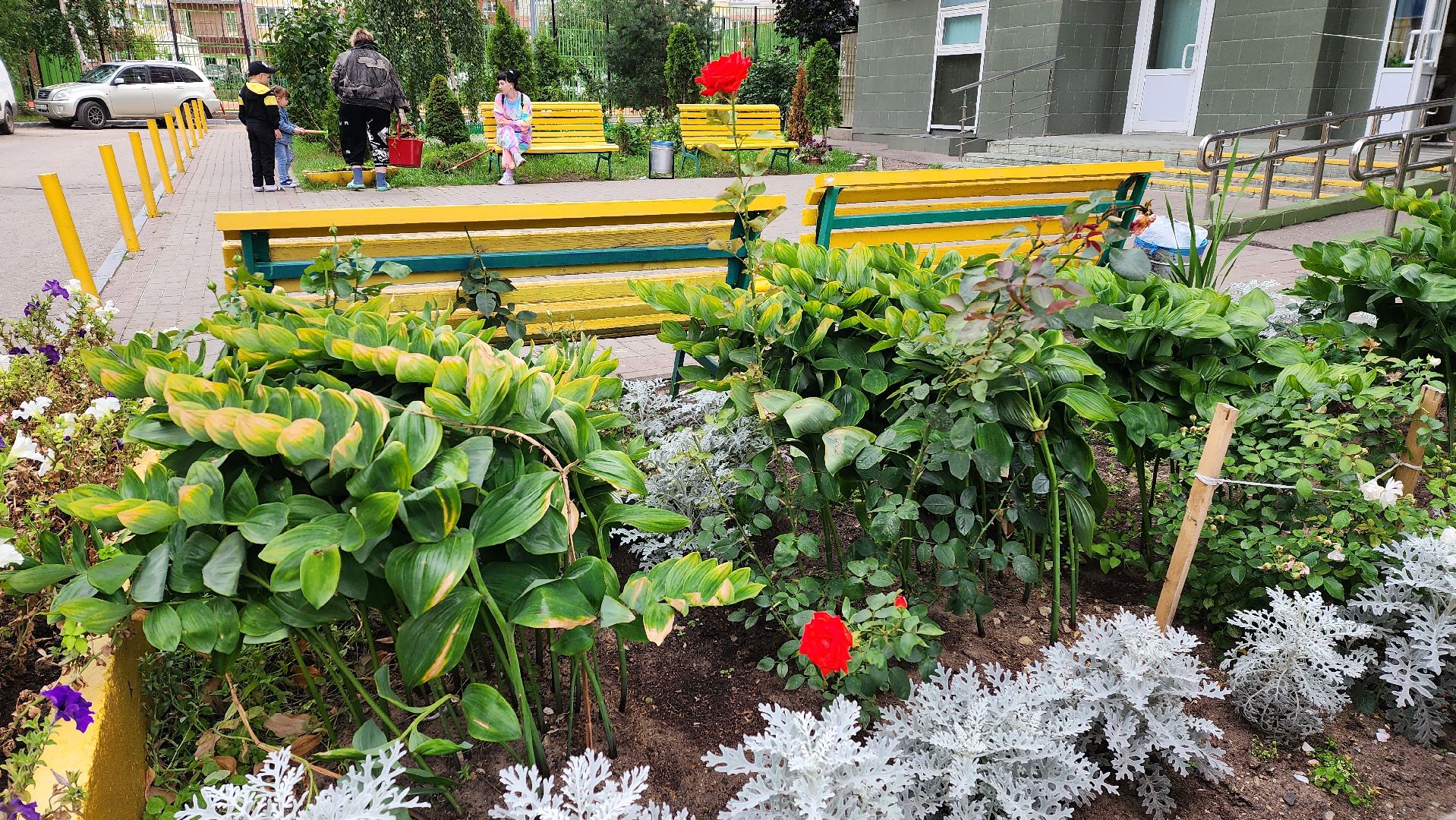 благоустройство, цветник, жители, Котельники