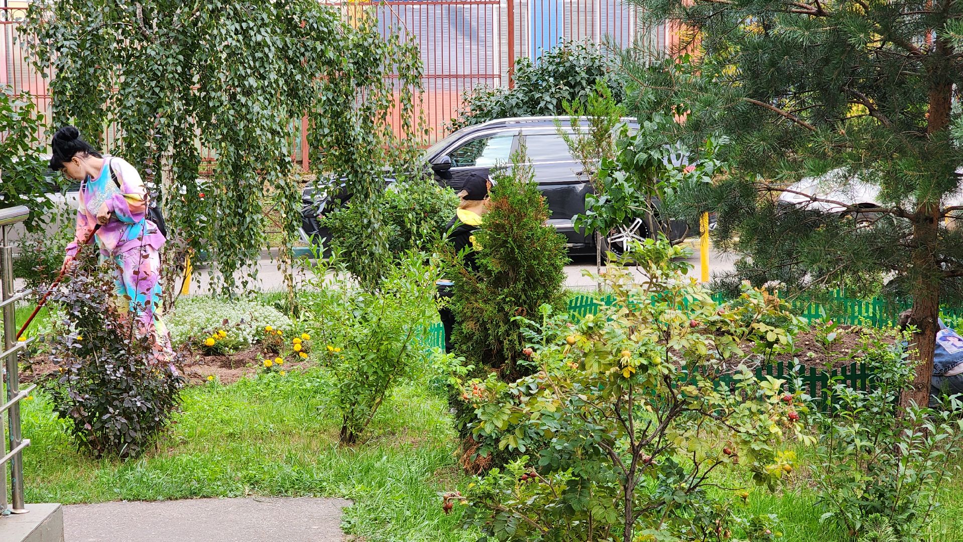 благоустройство, цветник, жители, Котельники