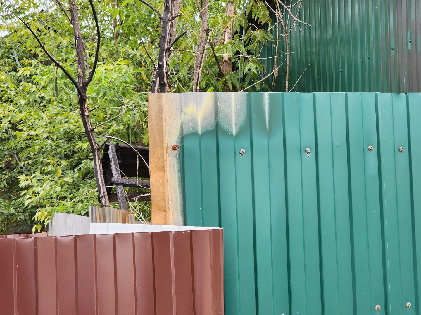 Спецоперация, Одинцово, сво, дугина, память, теракт,