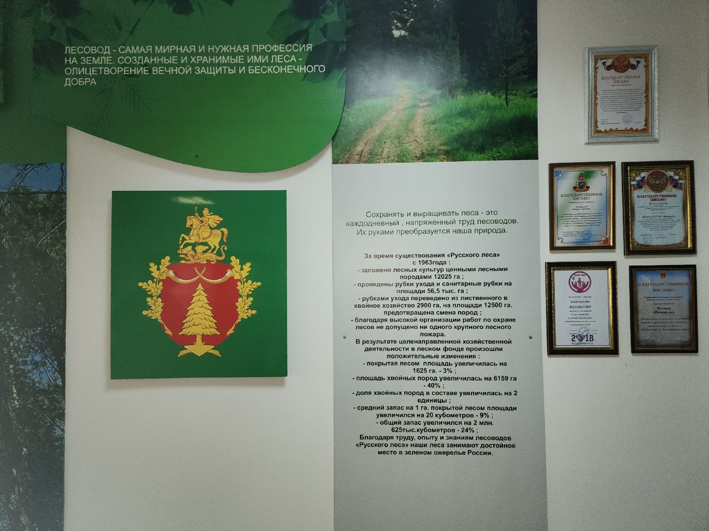 Серпухов, Подмосковье, Русский лес, инспектор