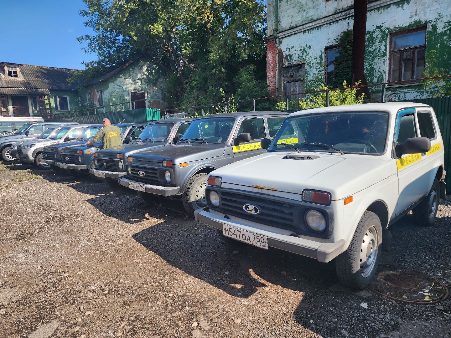 Серпухов, Подмосковье, Русский лес, инспектор