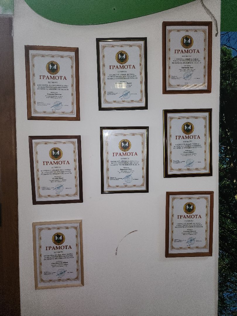 Серпухов, Подмосковье, Русский лес, инспектор