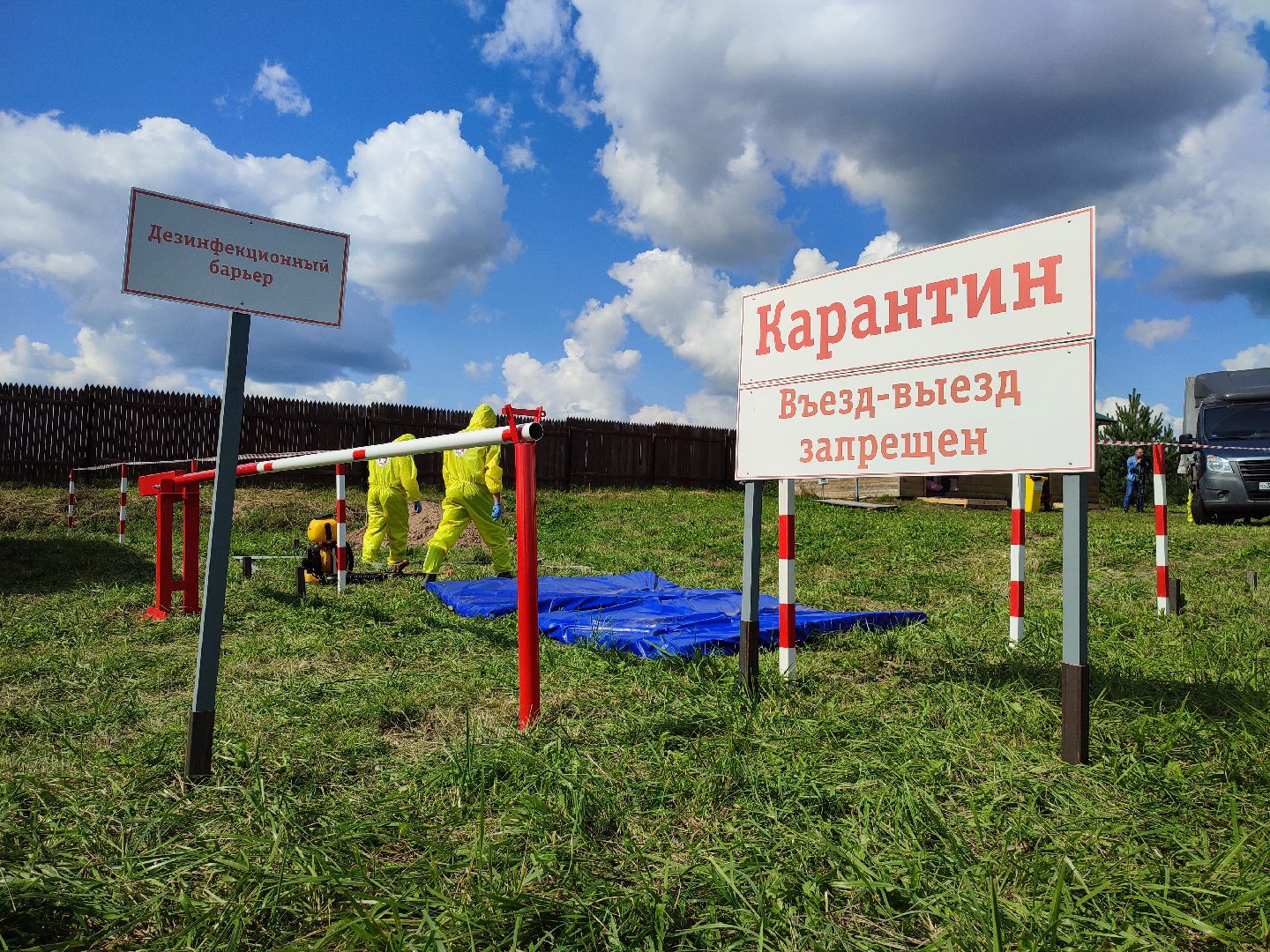 #талдомскийокруг, #учения, #минсельхоз, #свиньи, #ачс