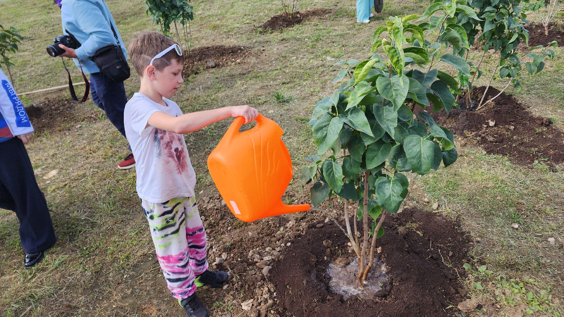 Ступино, аллея дружбы, день города,