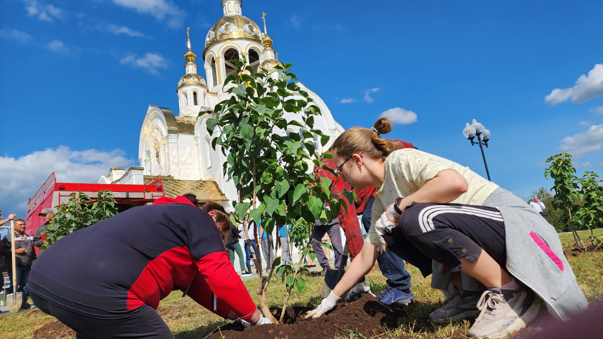 Ступино, аллея дружбы, день города,