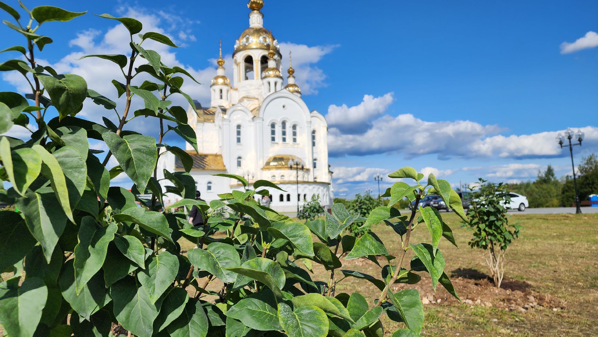 Ступино, аллея дружбы, день города,