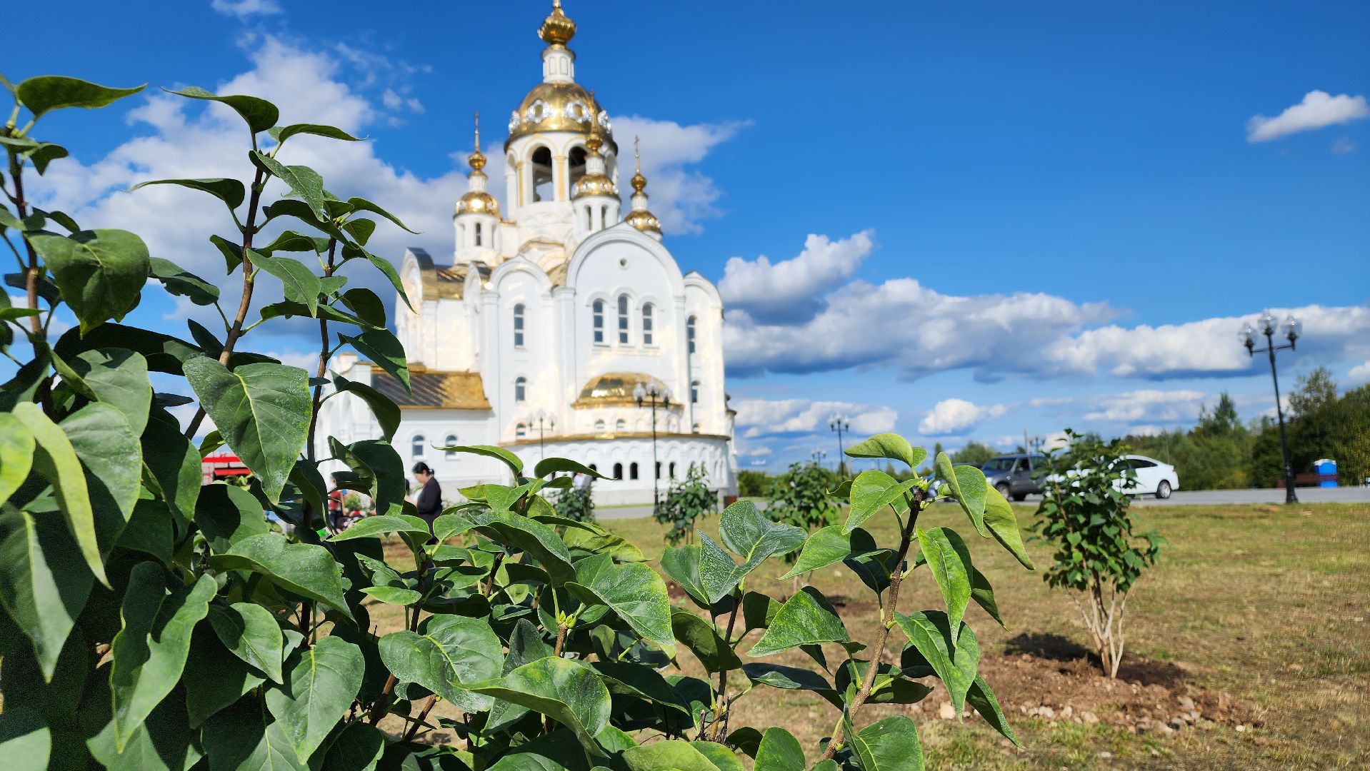 Ступино, аллея дружбы, день города,