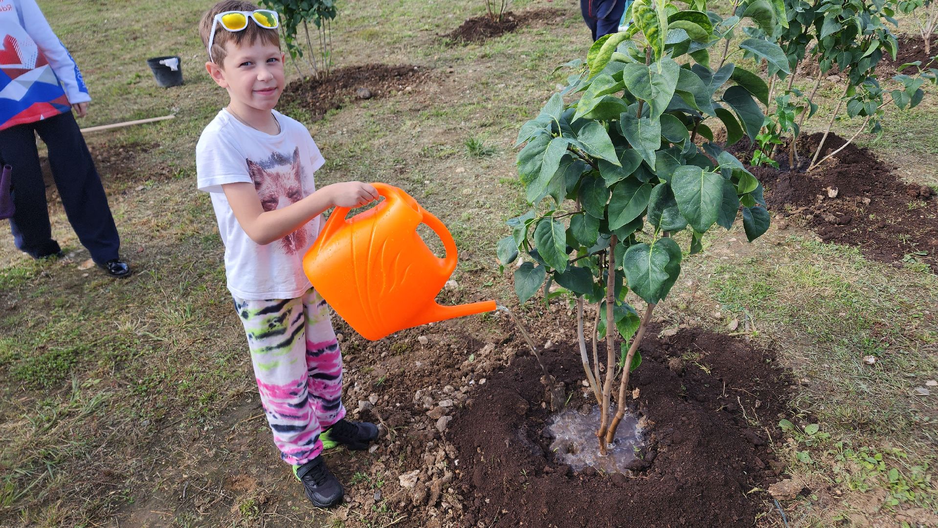 Ступино, аллея дружбы, день города,