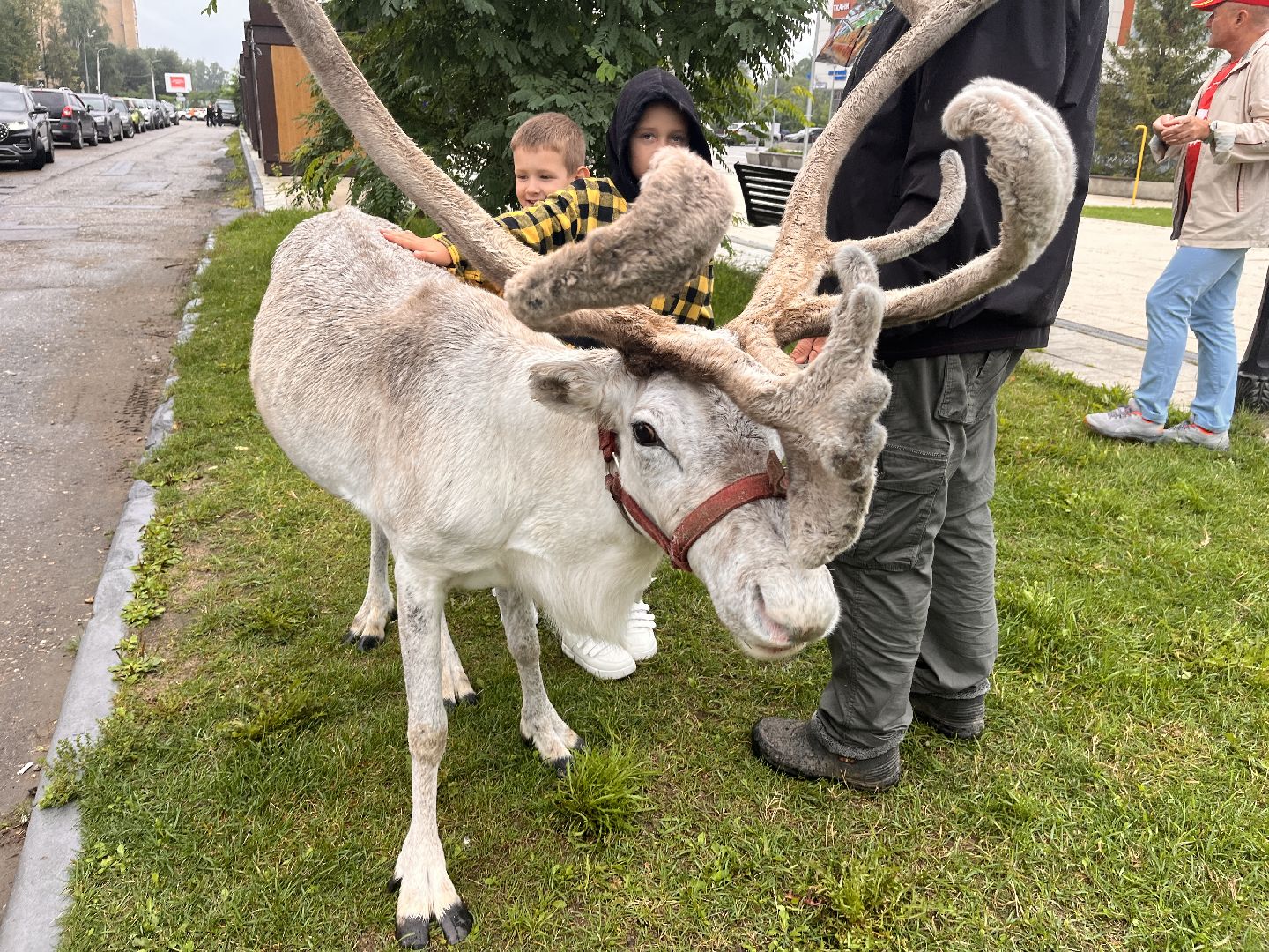 День города, Руза, рузский городской округ, подмосковье, культура, праздник, концерт
