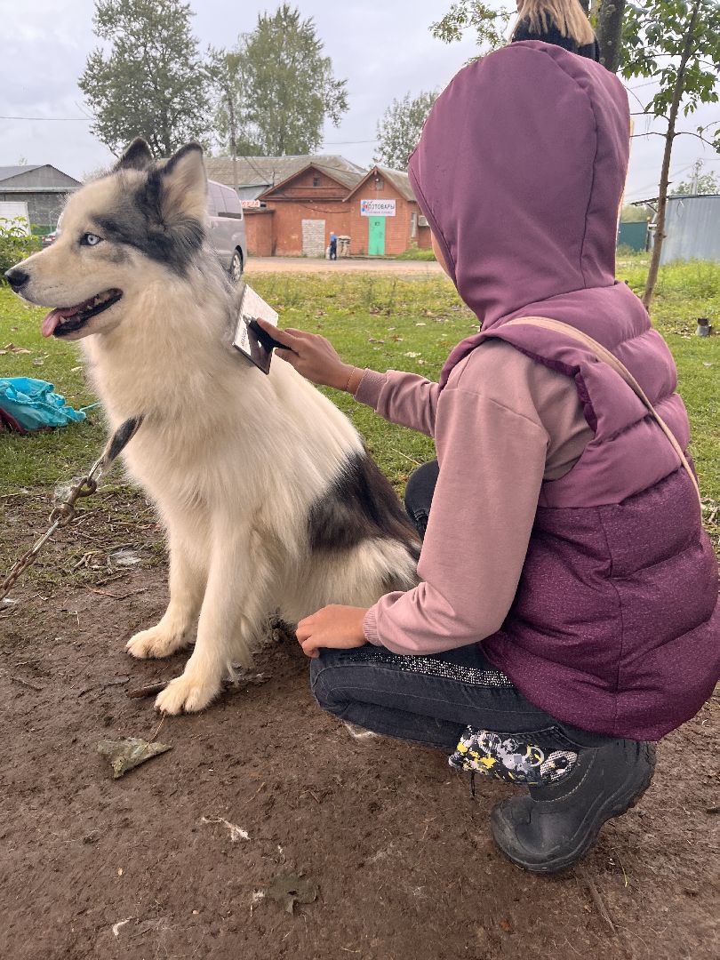 День города, Руза, рузский городской округ, подмосковье, культура, праздник, концерт