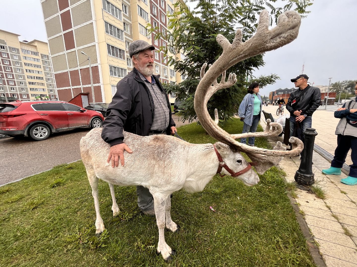 День города, Руза, рузский городской округ, подмосковье, культура, праздник, концерт