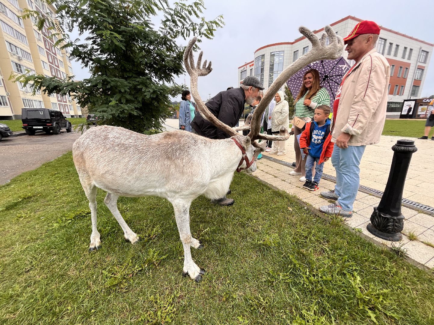 День города, Руза, рузский городской округ, подмосковье, культура, праздник, концерт